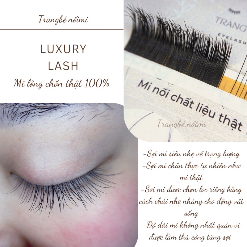 Mi lông chồn thật 100%