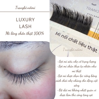 Mi lông chồn thật 100% (sợi sole)