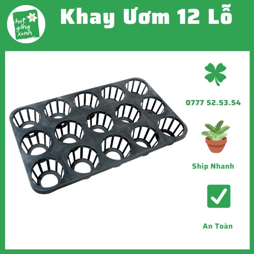 Khay đựng ly ươm mầm 12 lỗ, khay ươm nhựa cứng 12 lỗ, khay ươm lan