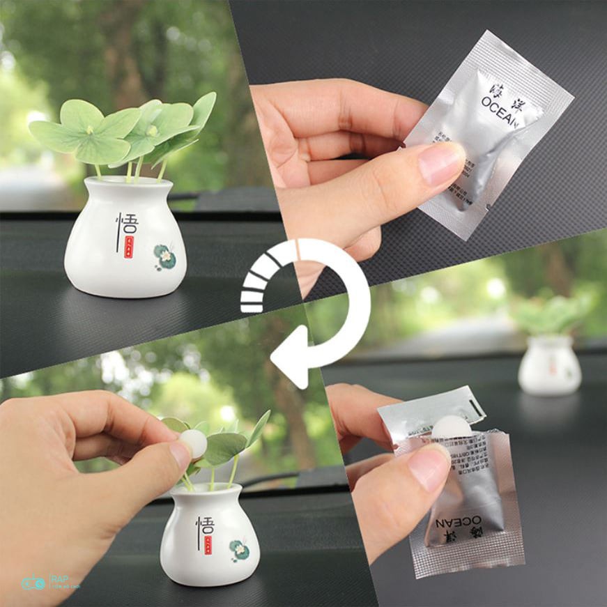 Mô hình chậu cỏ 4 lá may mắn bày bàn làm việc, tủ sách, taplo ô tô, tiểu cảnh - Ráp