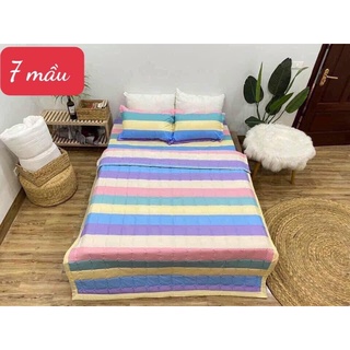 [Giá Siêu Rẻ] Sét Chăn Ga 5 Món Cotton Poly (chat để chọn màu, kích thước)