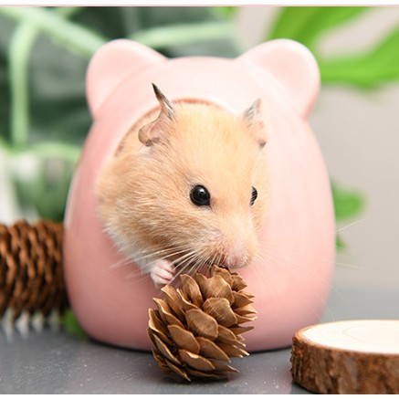 Nhà ngủ sứ gấu cho Hamster