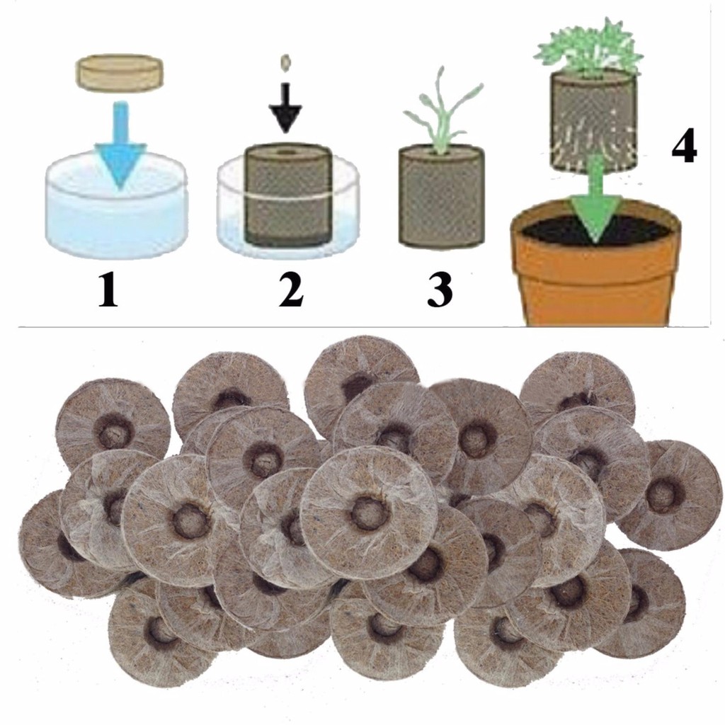 VIÊN NÉN XƠ DỪA NỞ ƯƠM GIỐNG - COMBO 10 VIÊN