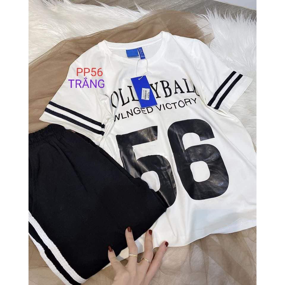 Đồ Bộ Quần Dài Cao Cấp, Kèm Ảnh Thật, Thun Cotton 100%, 45kg đến 80kg vừa, P56 | BigBuy360 - bigbuy360.vn