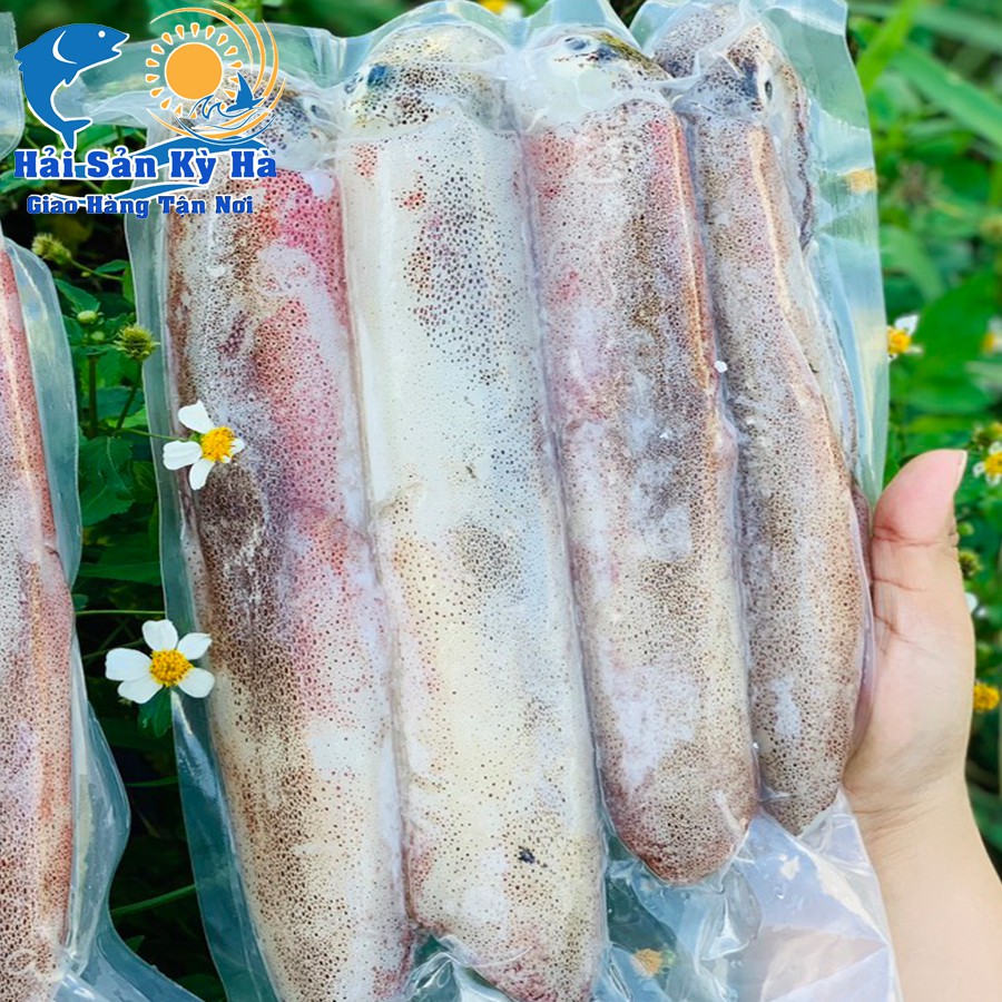 Giá Sỉ 1Kg Mực Ống - Giá Sỉ Rẻ Nhất