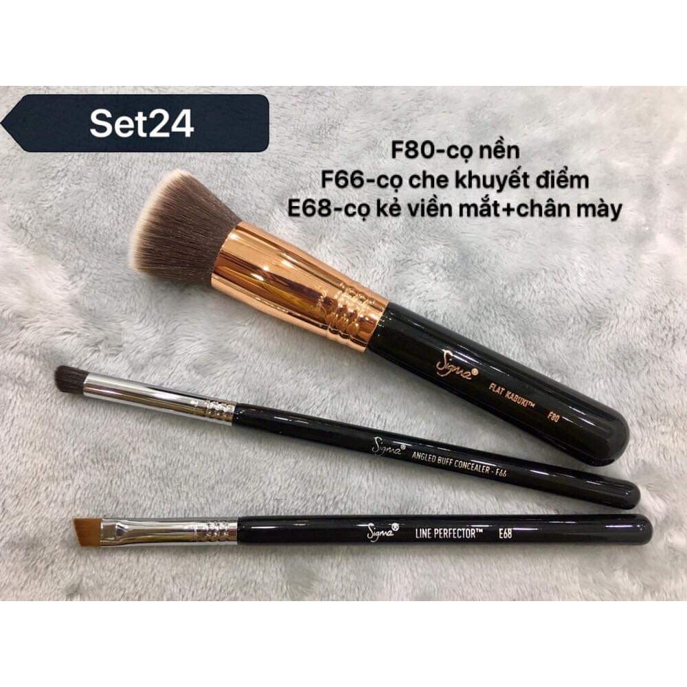 Thanh lý cọ Sigma chính hãng-giá rẻ nhất trong năm