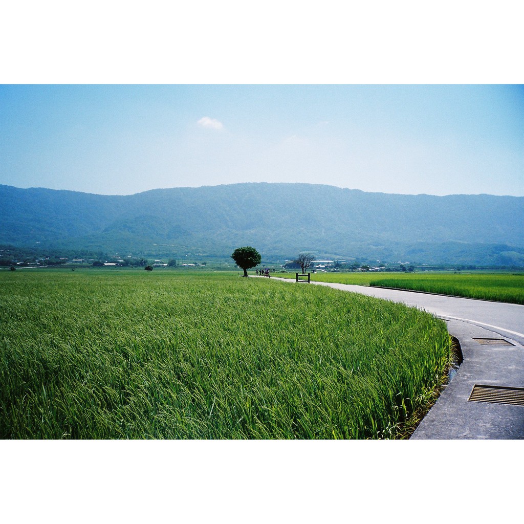 [Kodak Max Versality 400] - Film 135 (35mm) giá rẻ, 24 kiểu &amp; 36 kiểu, hàng US