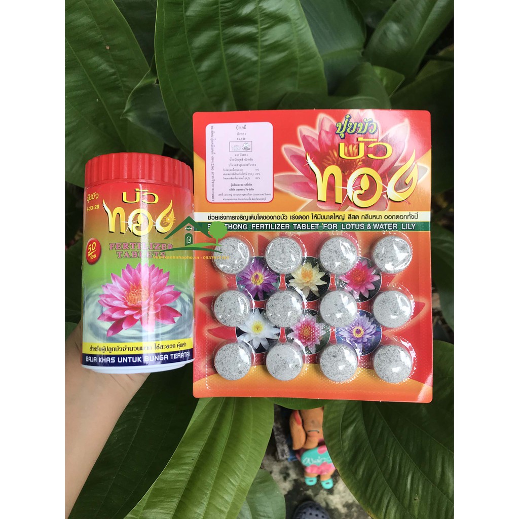 Phân bón viên Thailand hữu cơ kích ra hoa NPK 9-23-20 dành cho sen súng các loại cây thuỷ sinh cây cảnh vỉ và hũ