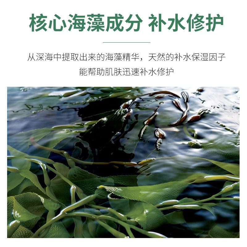 [Hàng mới về] Mặt nạ ngủ HAN RU chiết xuất rong biển nhau thai cừu dưỡng ẩm làm sáng da se khít lỗ chân lông | BigBuy360 - bigbuy360.vn