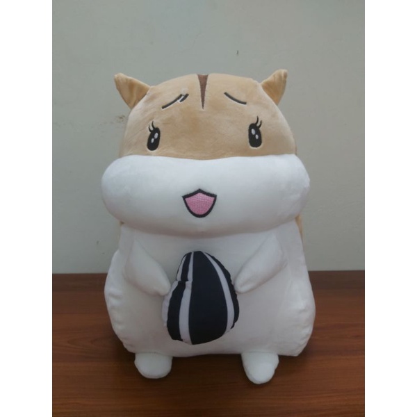 Chuột Hamster ôm hạt- sóc chuột