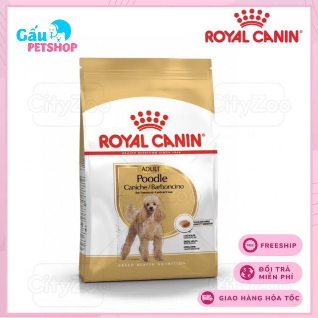 Hạt cho chó lớn ROYAL CANIN POODLE ADULT 1,5kg