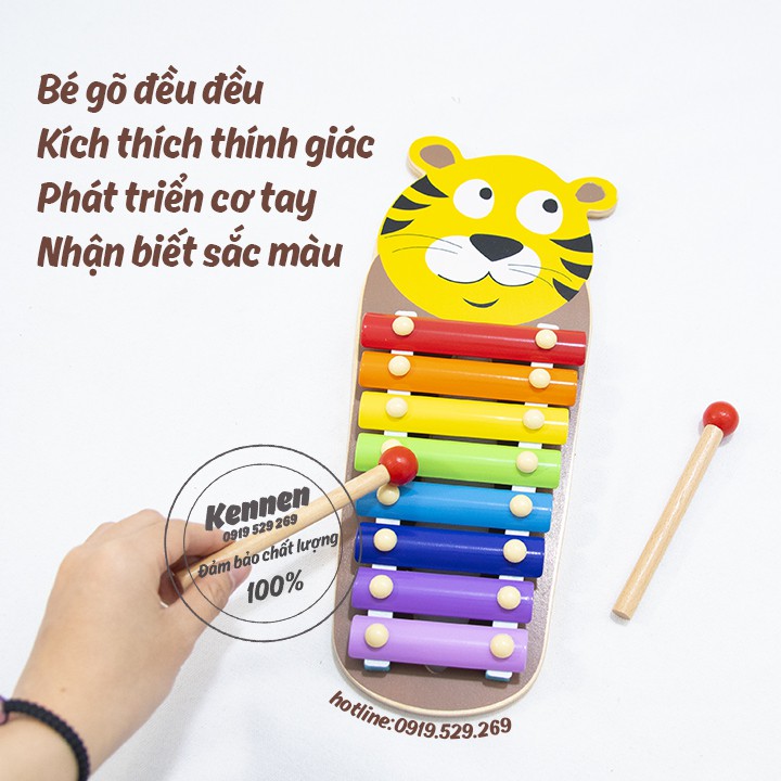 Đàn 7 sắc cầu vồng - giáo cụ Montessori