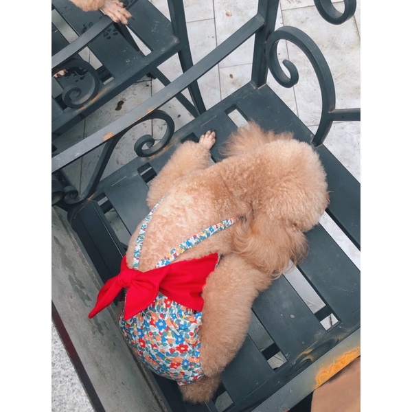 Bikini hoa nhí phối bản nơ to cho chó mèo/Quần sinh lý cún cái cao cấp