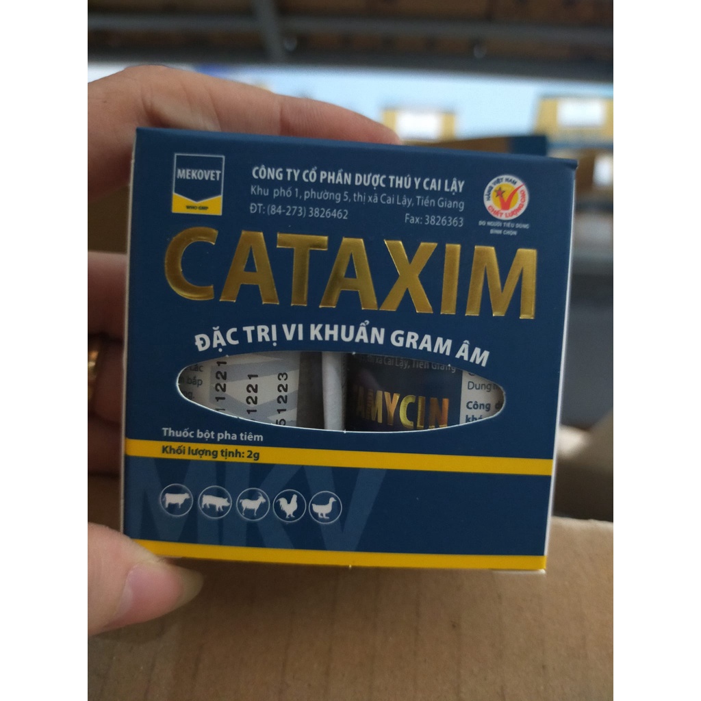 [Giá tốt] Cataxim 20ml mũi nhiễm, thương hàn và phó thương hàn  Bổ sung vitamin và dinh dưỡng