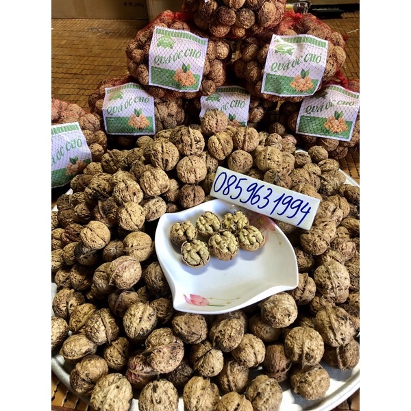 1KG QUẢ ÓC CHÓ NẾP TÂY BẮC