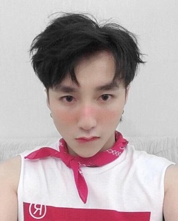 Phấn má saemmul singleblush blusher