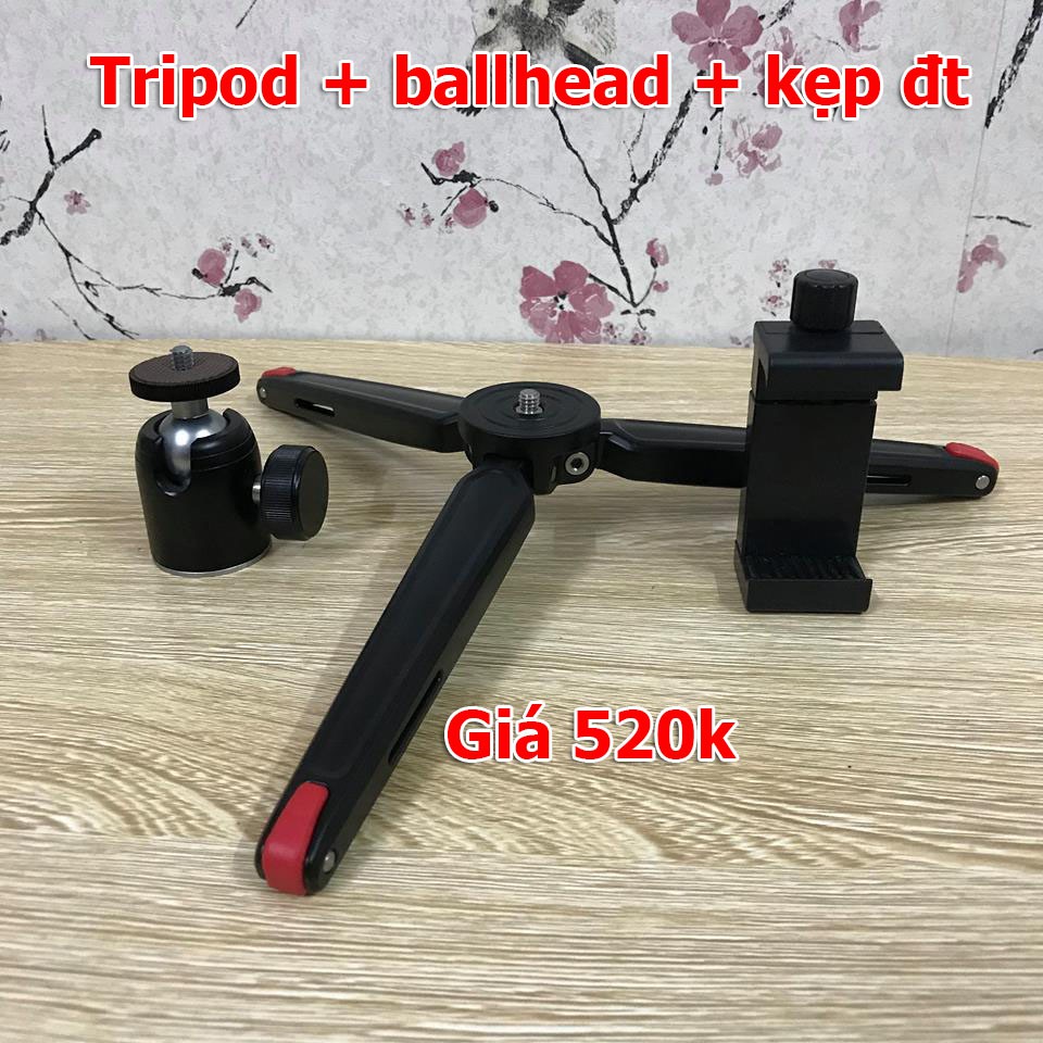 Chân máy ảnh tripod - QMini