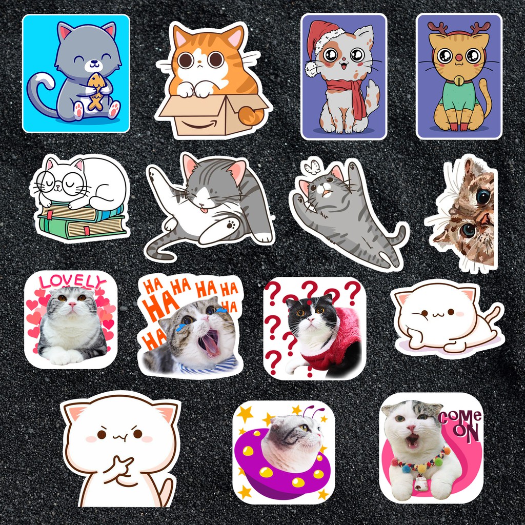 Sticker Mèo cute dán mũ bảo hiểm, dán laptop, điện thoại, đàn guitar, vali, xe máy, ván trượt