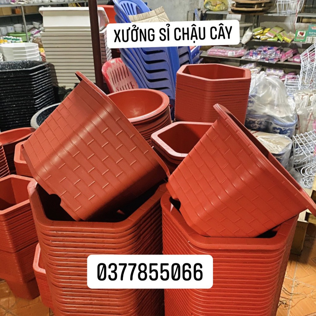 Chậu nhựa trồng cây, trồng hoa hồng loại 1 dày, đường kính 25~35cm, chau lục giác màu nâu đỏ hàng giá sỉ tận xưởng