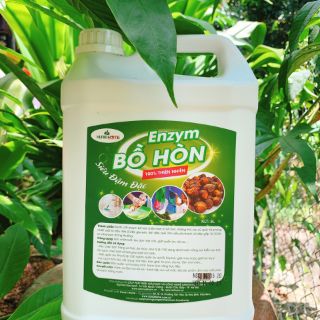 Enzym tẩy rửa đa năng bồ hòn