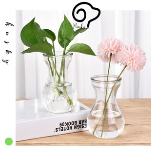 Lọ Hoa Thủy Tinh Mini Trồng Cây Thủy Sinh, Bình Hoa Decor
