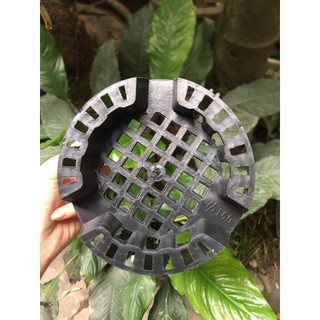 [Giá sỉ] Chậu nhựa trồng lan phi 16 [Giá sỉ]