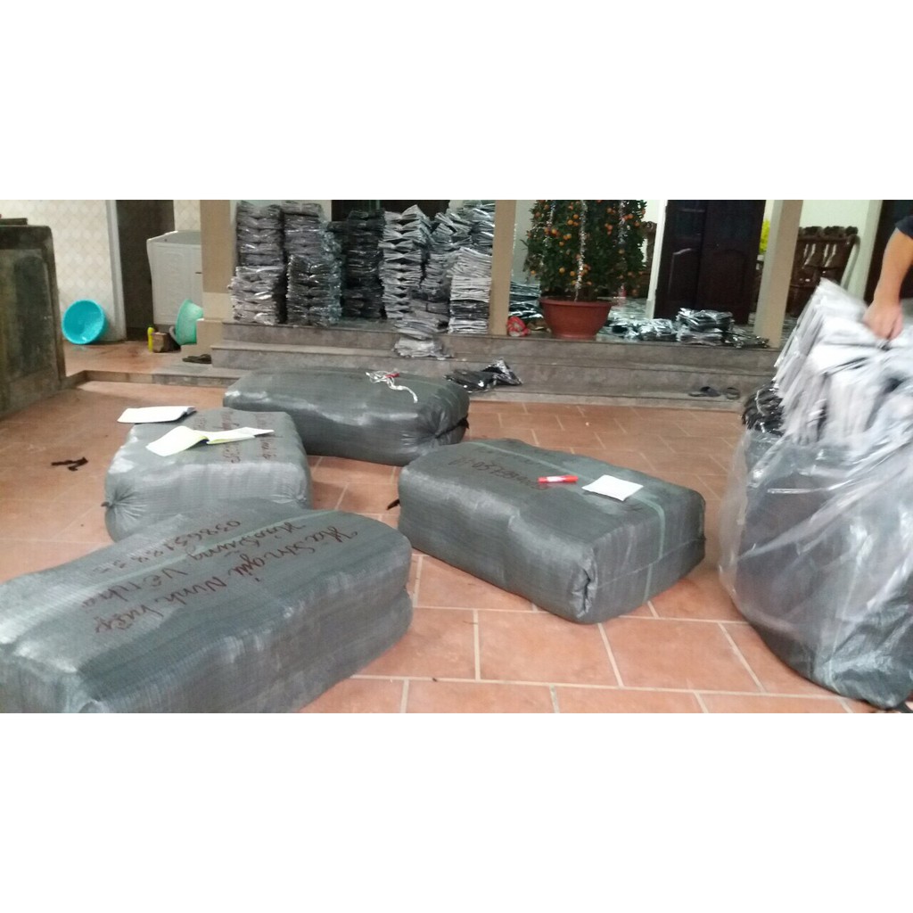 Quần Đùi Nam Thể Thao Vải Gió Mát Free Size Dưới 70kg ( Ảnh Chụp Thật 100%) | BigBuy360 - bigbuy360.vn