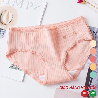 Quần lót cotton tăm viền ren hàng chất lượng cao XUU DESIGN QC01