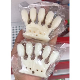 Móng vương miện màu đục ( móng để trưng bày các mẫu)