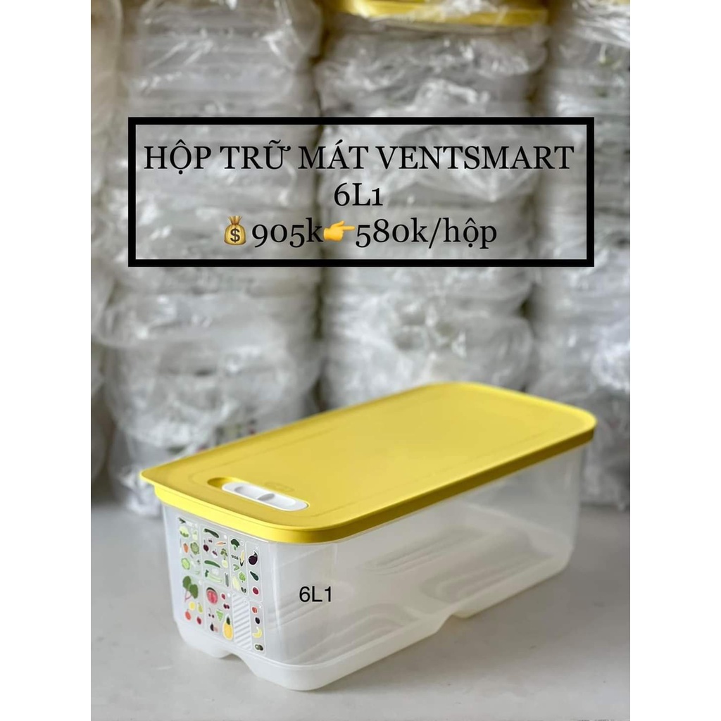 Tupperware💕Freeship💕 Hộp bảo quản trữ mát Vensmart 1.8L thấp