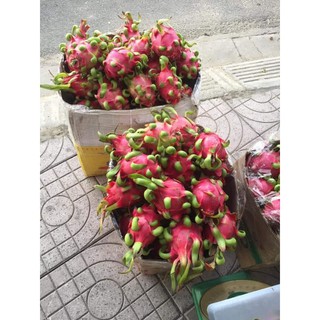 Thanh Long ruột đỏ 1kg