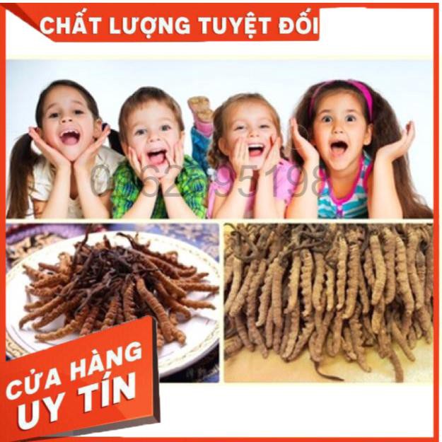 Đông trùng gỗ trắng 60 gói 2 tem