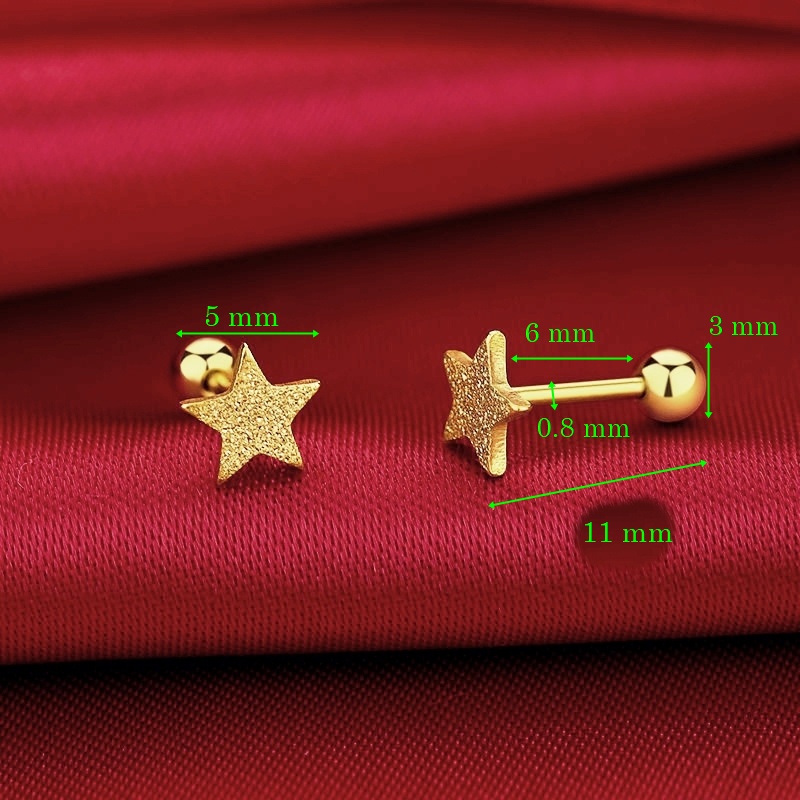 Bông tai titan nữ không gỉ mặt ngôi sao 5 mm nhám lấp lánh (giá 1 chiếc)