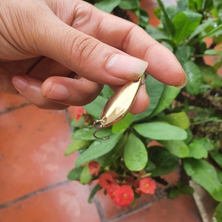 Bộ mồi chuyên rô phi mương,thiểu kèm hộp đựng S66