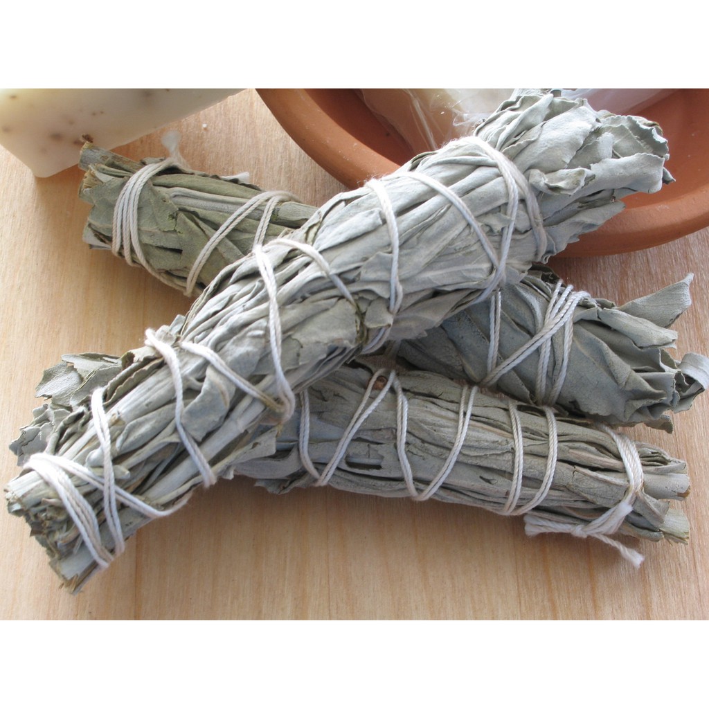 🚀[HÀNG NHẬP KHẨU - ĐỘC QUYỀN] 🌳Xô Thơm Trắng Xông Nhà White Sage Hương Tự Nhiên 100%🌍 7 innch