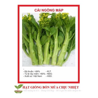 Hạt giống Cải Ngồng MậP 300 Hạt