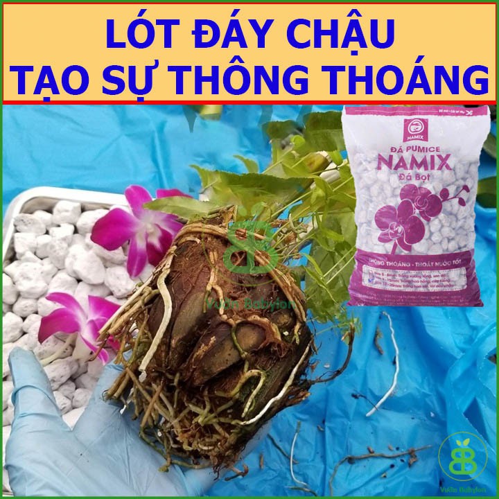 Đá Bọt Pumice - Cực Phẩm Cho Lan, Hoa Hồng, Cây Cảnh 10-20mm