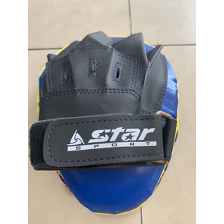 Đích đấm boxing ,