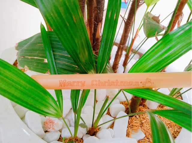 1 ống hút tre khắc theo yêu cầu | BigBuy360 - bigbuy360.vn