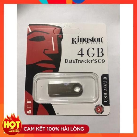 Usb 4 GB Kington Data SE9