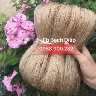 Miến dong Cao Bằng (đóng túi 0,5kg)
