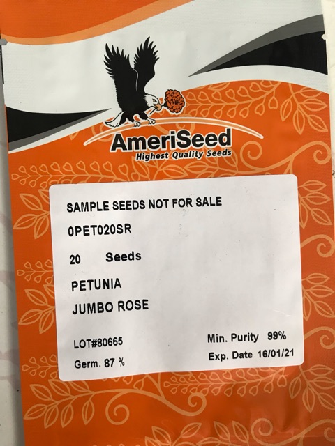 Hạt giống dạ tên thảo leo- giống nhập từ mỹ Ameriseed