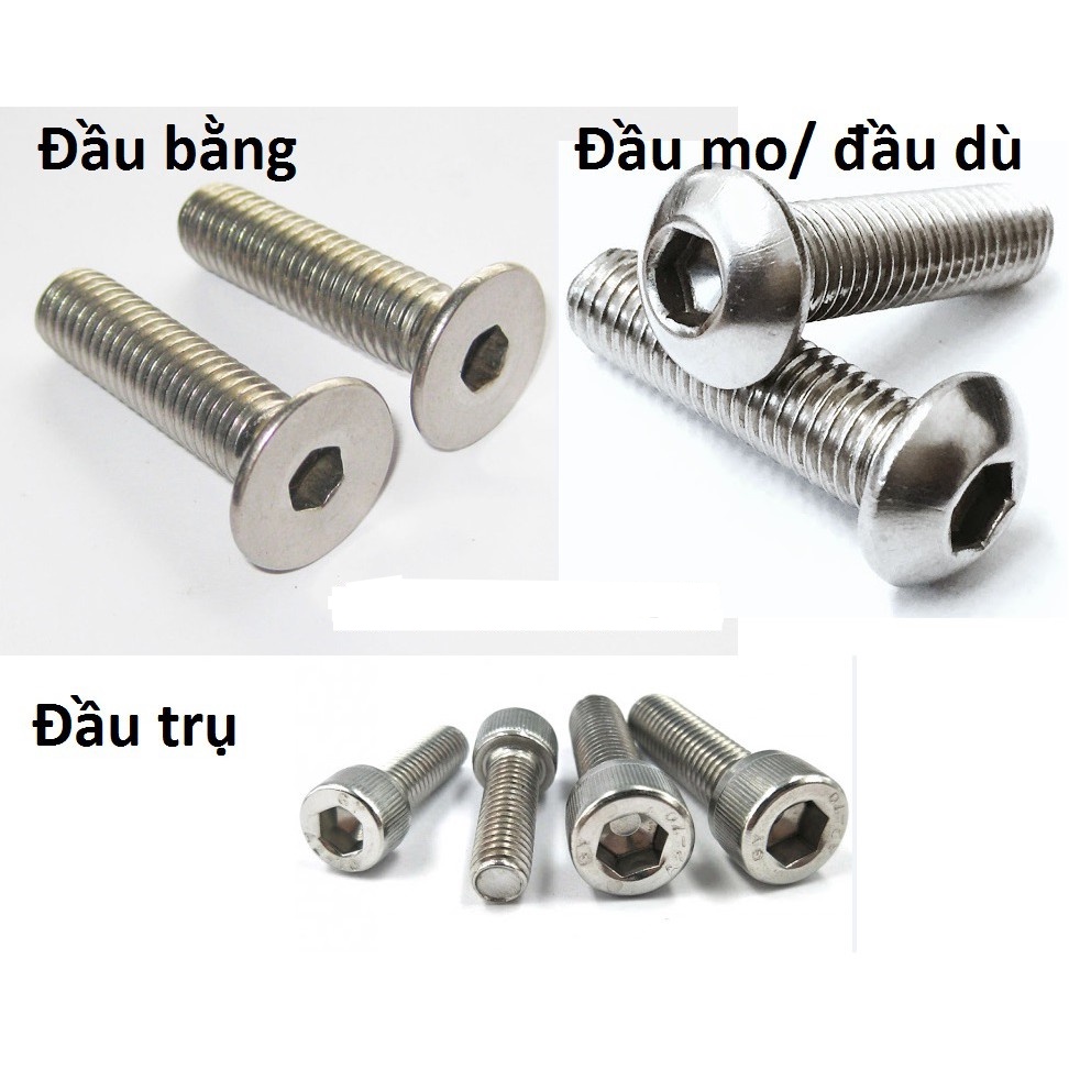 Bộ 10 Bù lon inox 304 Lục Giác chìm đầu trụ (M4x14mm - BL10)