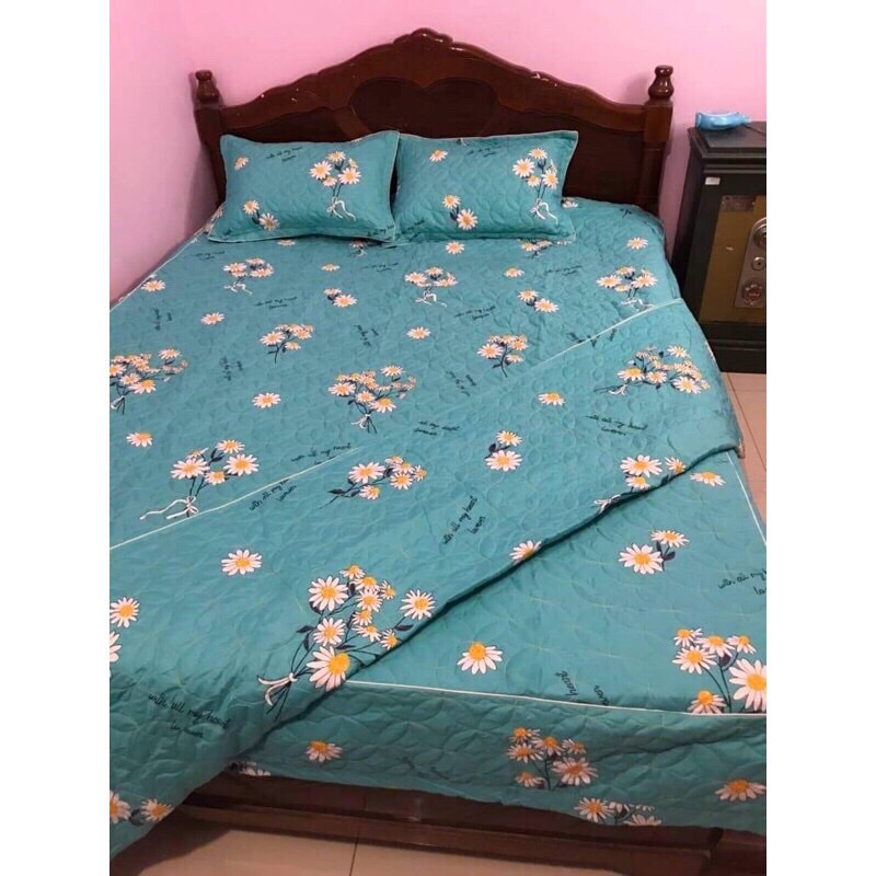 Bộ chăn ga gối 5 món ga phủ trần bông , chăn trần lồng đươc ruột, chăn hè trần đủ các kích thước từ 1M6 đến 2M2