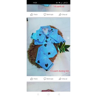 Bộ pizama mã 143