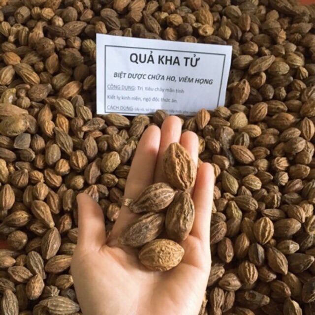 Quả kha tử ho viêm họng
