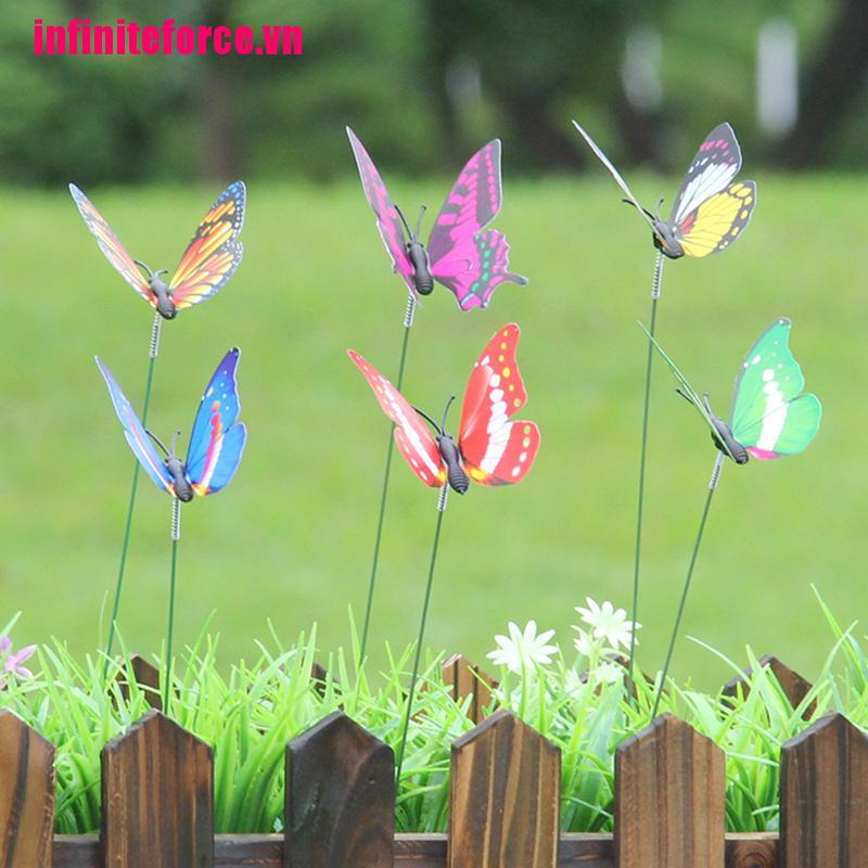 Bộ 10 Chậu Hoa 5xin Hình Bướm Nhiều Màu Sắc Trang Trí Vườn