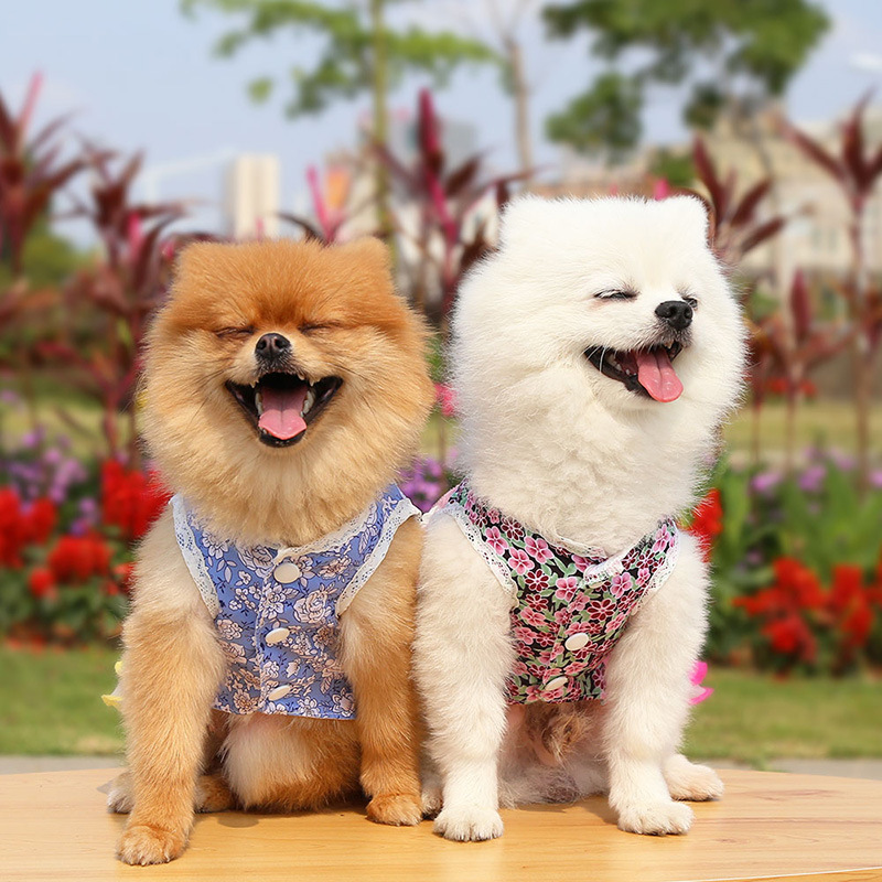 Mùa Xuân Và Mùa Hè Vừa Và Nhỏ Chó Và Mèo Váy Hoa Thú Cưng Váy Cưới Kiểu Dáng Quần áo Thoáng Khí Và Mát Mẻ