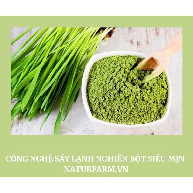 Bột cỏ lúa mì hữu cơ sấy lạnh Wheat Grass   giảm cân, đẹp da, thanh lọc, tốt cho sức khoẻ