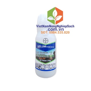 VELUM PRIME 400SC THU ỐC TRỪ B ỆNH TUYẾ N TRÙ NG 100ML
